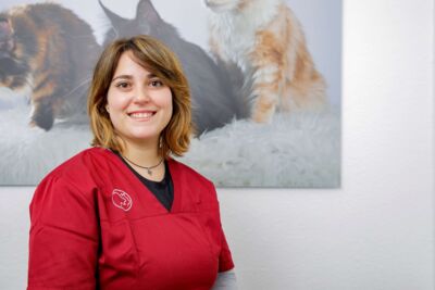 Evi Kotsika
